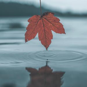 祖英裸体双乳呻吟
